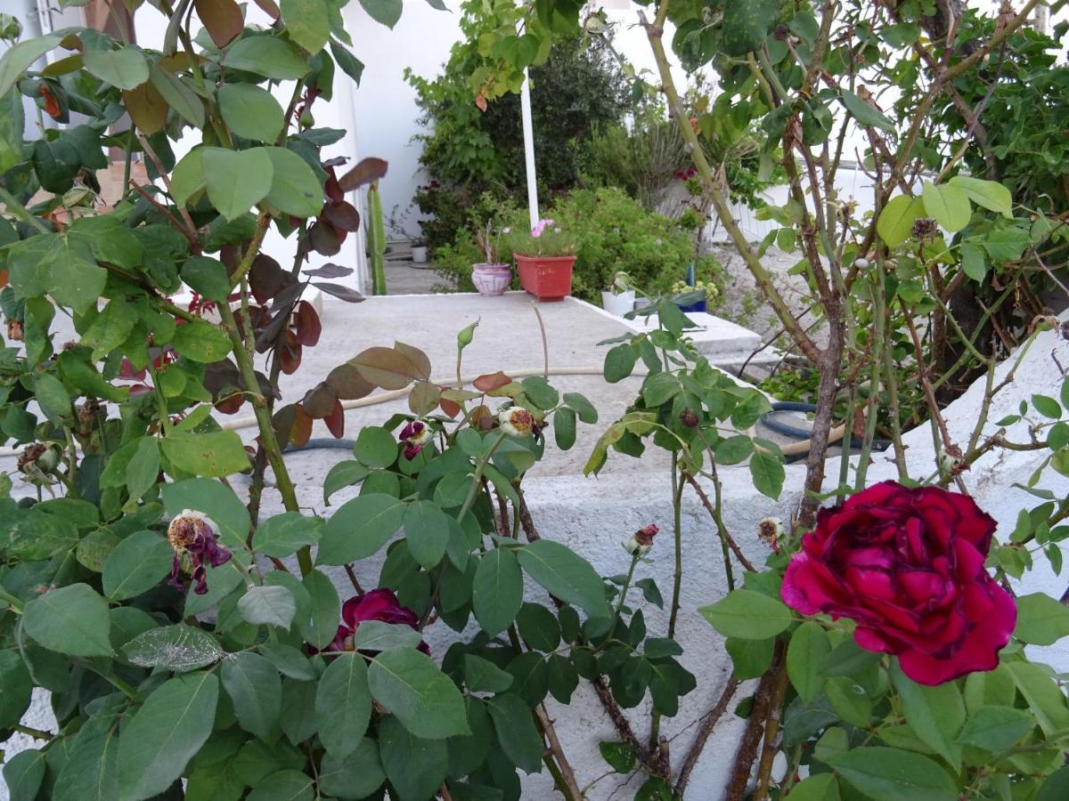 Andreas Studio With Private Parcking Διαμέρισμα Τριοβάσαλος Εξωτερικό φωτογραφία